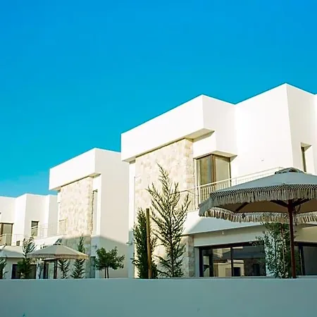 Hotel Liv & Co